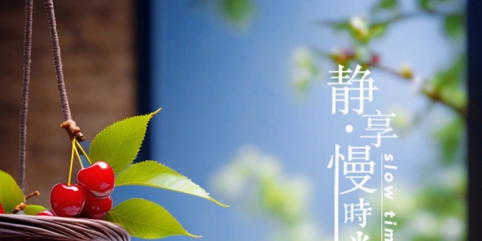 【徐东风散文】岁月缱倦，葳蕤生香