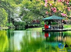 【徐东风散文】岁月悠长，万物可期