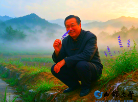 【洛沙随笔】跟上姚选富识百草之三百五十六：鼠尾草