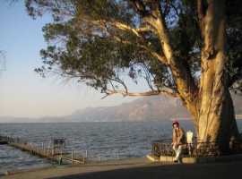 【秋枫随笔】 泪洒滇池