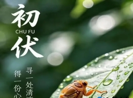 【徐东风散文】万物热烈，心静自凉