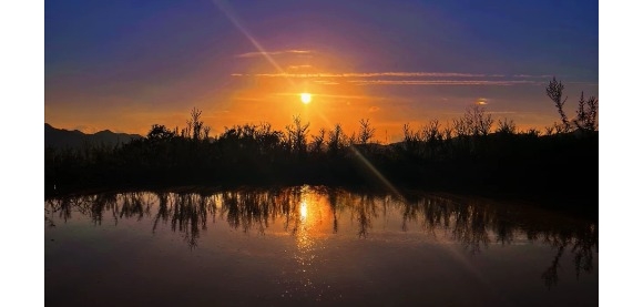 【芸竹诗歌】夜幕，又一次倾下来