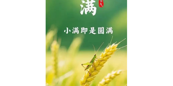 【孟宪福诗词】小     满