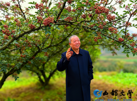 【洛沙随笔】跟上姚选富识百草之十四：花椒的药食密码