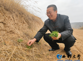 【洛沙随笔】跟上姚选富识百草之一百零六：苍术藏岐黄