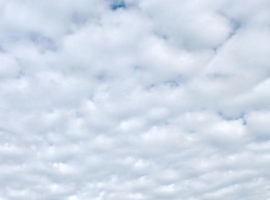 【宁静致远诗词】思亲