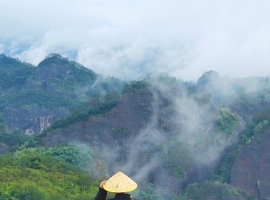 【纯子散文随笔】在烟火深阔处种一株魏晋清欢