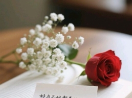 【芸竹诗歌】 人生不过三万天