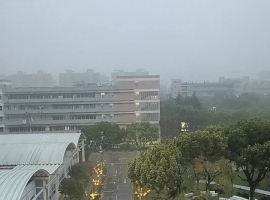 【小桥流水诗词】《园中即景》