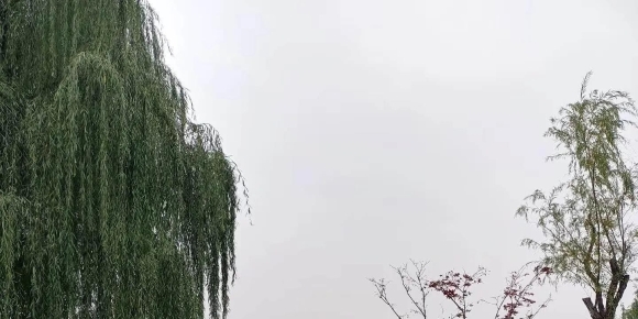 【祁河随笔】渼陂湖乱弹