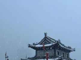 【纯子随笔】掰半阙霜色，煮一城暖