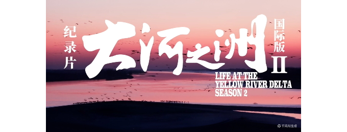 【徐东风诗歌】大河之洲