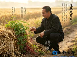 【洛沙随笔】跟上姚选富识百草之二百一十三：茜草赋