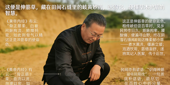 【李玉梅读后感】 一株透骨草，千年养生道