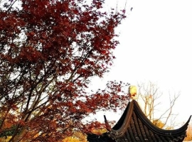 【笑君诗词】沁园春·合肥赋（三首）