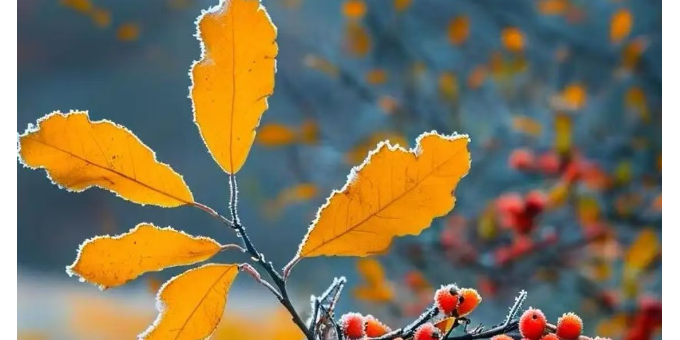 【武振学诗词】七绝   雾锁深秋