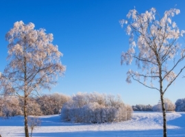 【禅悟诗词】立冬