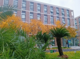 【小桥流水现代诗歌】《明日的路》