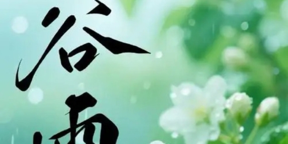 【芸竹诗歌】   谷雨