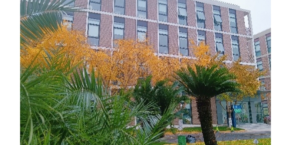 【小桥流水现代诗歌】《明日的路》