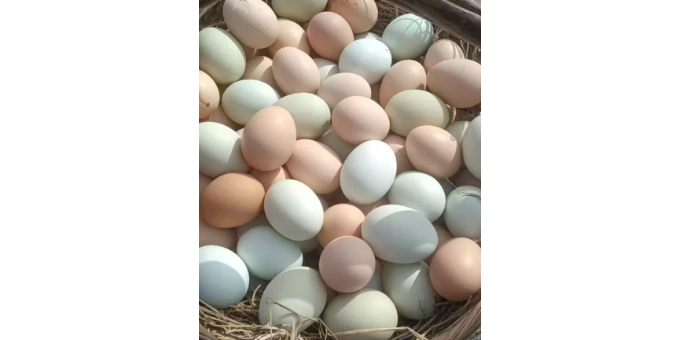 【赵秋林诗词】永遇乐  赞小邢生态土鸡蛋