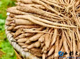 【徐东风诗歌】当归