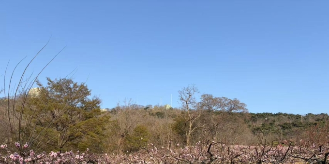 【武孝君诗歌】春发太平山（四）