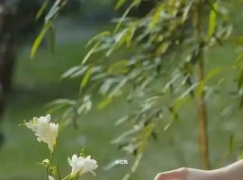【笑君诗词】沁园春·春日赋闲（三首）