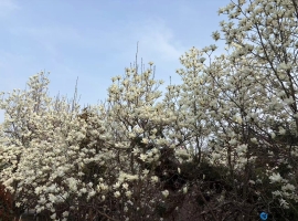 愚人节万物共嘲弄（二）