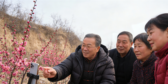 【洛沙随笔】跟上姚选富识百草之一百一十八：梅草藏良方