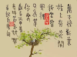 【笑君诗词】踏莎行·遥想（五首）