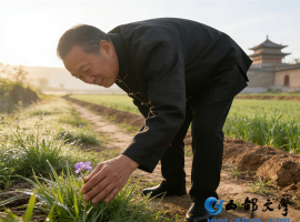 【洛沙随笔】跟上姚选富识百草之百六十六：甜丁藏妙效