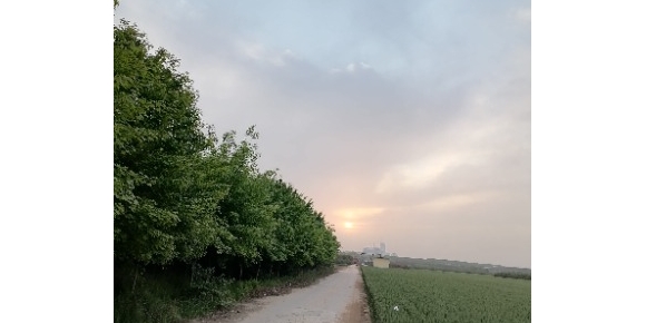 【龙竹武诗词】下队碰头感怀