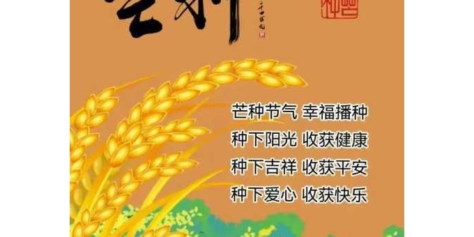 【徐东风散文】风吹麦浪，万物向阳