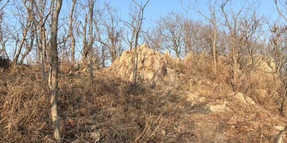 【武孝君诗歌】乙巳蛇年纪事（四）——闭紧双唇叩天门