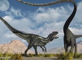 【徐东风诗歌】奥陶纪