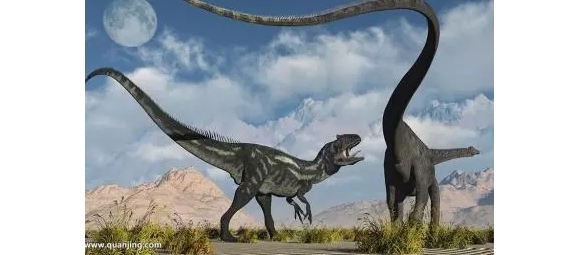 【徐东风诗歌】奥陶纪