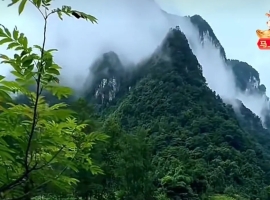 【徐东风诗歌】春天里的中国