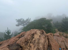 雨雾浮山中（七）
