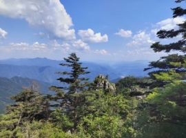 【龙竹武诗词】山河记忆