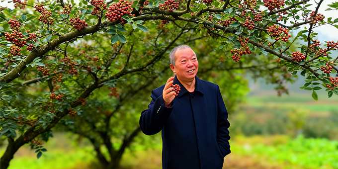 【洛沙随笔】跟上姚选富识百草之十四：花椒的药食密码