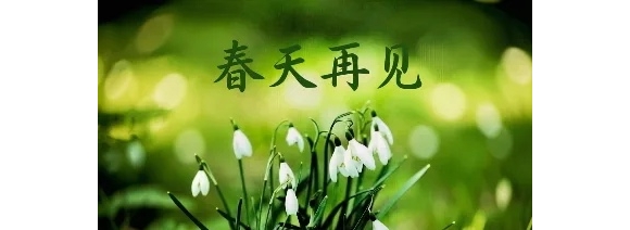 【徐东风散文】五月如约，万事可期