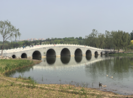 【海潮诗词】鹧鸪天  南海子公园健步走