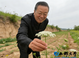 【李玉梅读后感】一草藏灵韵，传承守安康