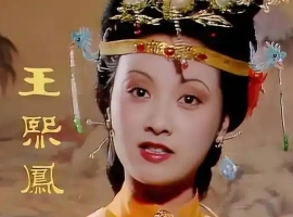 【徐东风诗歌】金陵十二钗之王熙凤