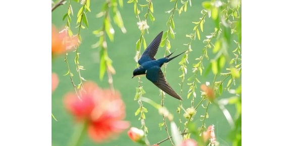 【徐东风诗歌】惊蛰