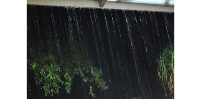 【芸竹诗词】七绝  夜雨感怀