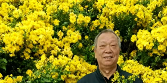 【洛沙随笔】跟上姚选富识百草之十七：菊花是霜下良药