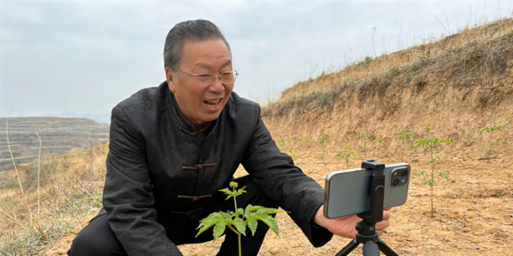 【洛沙随笔】跟上姚选富识百草之一百一十五：选富辨参茸