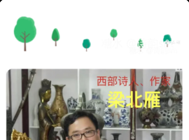【梁北雁诗歌】《黑夜的甲壳虫》
